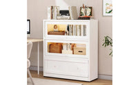 Cabinet with Flip-up Doors Minimalist Metal Storage Cabinet Sturdy Metal Storage Organizer for Living Room, Study