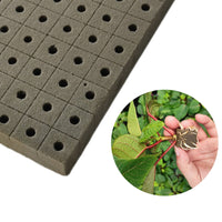 100 Pieces Soilless Starter Cubes Easy to Transplant Soilless Grow Plugs Sterile Plant Rooting Plugs for Hydroponics Enthusiasts, Vertical Farming