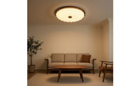 Streamlined Flush Mount Ceiling Light Frosted Ceiling Light with Light Diffusing Cover Round Fixture Minimalist for Bedroom, Living Room, Study