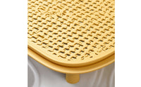 Easy to Clean Raised Cat Litter Mat Washable Litter Mat with Legs Sturdy Scratch-Resistant for Cats, Small Areas