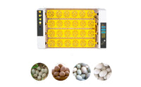 See-Through Electric Egg Incubator Corded Egg Incubator with Transparent Lid Temperature Control Compact for Hobbyists, Classroom