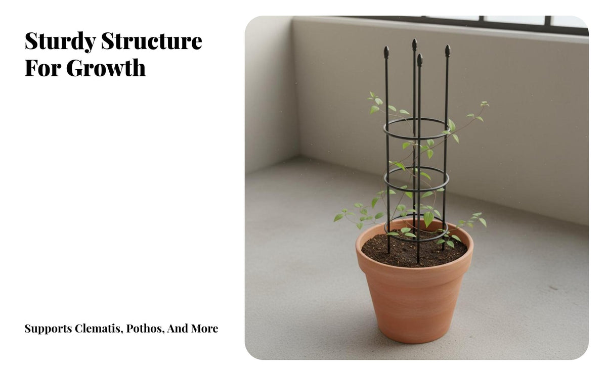 Climbing Plant Trellis Sturdy Construction Climber Climbing Frame Potted Plant Support Plant Frame Easy Assembly Garden Obelisk