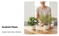 Low Maintenance Small Faux Potted Plant No Watering Needed Potted Simulated Plant Never Wilts Fake Greenery Realistic Appearance for Gardening Beginners, Busy Individuals, Living Room, Coffee Table, Bedroom, Bookshelf