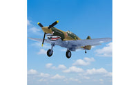 P-40 Fighter Model P-40 Fighter Model Realistic for Collectors, Aviation Fans, Office