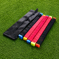 agility ladder