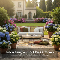Woven Sofa and Armchair set Vintage & design outdoor seating set water-resistant Outdoor Furnishing for Families, guest accommodation Professionals, Garden, Villa, Backyard