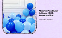 Pastel Macaron Balloons Festive Party Decoration Kit