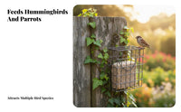Metal Wire Bird Feeder Easy to Load and Maintain Nature Bird Food Holder Construction Suet Cake Feeder for Nature Lovers, Outdoor, Garden, Backyard