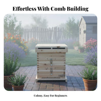 Lattice Beehive Set Low Maintenance Fir Wood Bee Box Wooden Beehive Kit Beginner-Easy-to-Use Beekeeping Beginner Kit