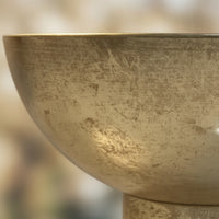 Steel Flower Pot Decorative Pedestal Planter Contemporary Flower Pot with a Solid Bottom for Tabletop, Living Room, Desk