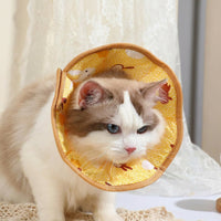 Padded Nylon Cone for Cats and Dogs, Textile Padded Nylon Cone for Kittens, Cartoon Pattern Recovery Tool to Stop Licking and Biting