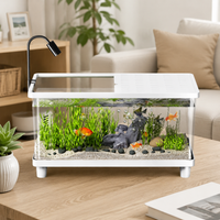 Aquarium Tank Set, Acrylic Tank, 41×22×22.5cm, Large, Tropical Fish Breeding Case, With LED Light