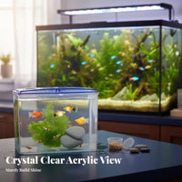Acrylic Aquatic Creature Breeding Box Fry Protection Aquatic Creature Breeding Box Aquatic Habitat Breeder Container Vented Lid