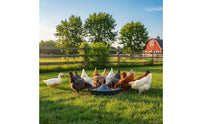 Sturdy Construction Anti-Waste Poultry Feeder Heavy-Duty Anti-Spreading Feed Basin Thickened Material for Homesteaders, Backyard, Outdoor