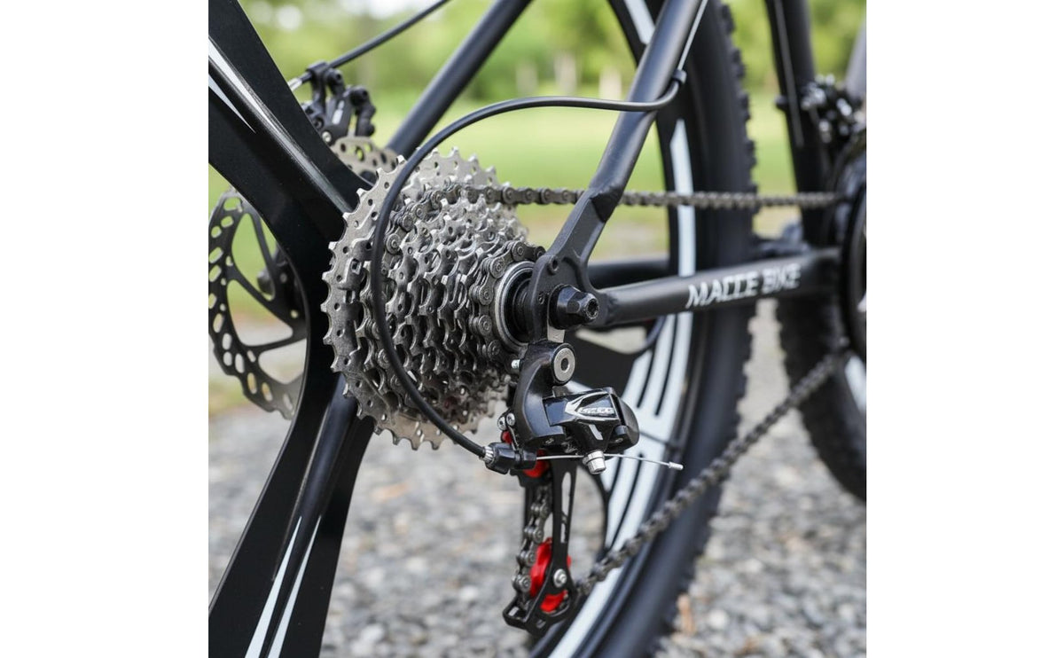 Carbon Steel Frame Multi-Speed Mountain Bike Multiple Wheel Styles Disc Brake Mountain Bike Outdoor Recreation Equipment for Commuting