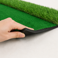 Golf Practice Mat, Home/Yard/Indoor, Simulator Compatible, 10cm Thick EVA, Double Turf Design, with Tee Holder