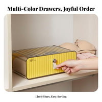 Compartindividualst Underwear Box adaptable Multi-Compartindividualst Box with debrisresistant Lid