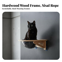 Suction Holder Feline Capsule Drillless Mounting Installation Window Resting Lofelineion Space Saving Pet Furniture for Apartment Dwellers, Indoors