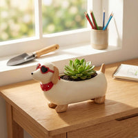 Painted Finish Resin Dachshund Pot Exposed Cavity Dachshund Planter Standing Legs Desktop Planter Small Plants for Desk