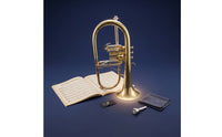 Flugelhorn with Case Rich for Beginners, Rehearsals