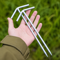 tent stake