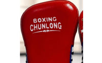 Boxing Pads Padded Striking Pad Compact for Fighters, Gym, Home