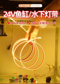 古法鱼缸鱼池专用水下防水LED灯带IP68实心硅胶灯条自粘24V户外