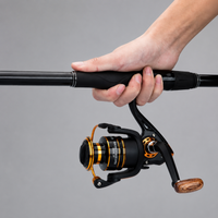 fishing rod