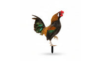 Garden Stake with Cockerel Acrylic Cockerel with Stake Chicken Yard Art Double-Sided Colorful for Gardeners, Lawn, Flower Bed