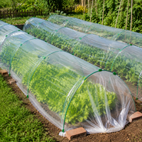 Tomato Greenhouse Fiberglass, Foil Tunnel for Raised Bed, 43cm Coated Rods, Small Greenhouse for Heat-Loving Plants