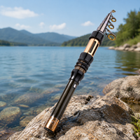 fishing rod and reel combo