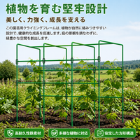 Plant Support, Stakes, Trellis, Gardening Stakes, Iron, Green, Houseplants, Climbing Plants, For Garden, Home Vegetable Gardens, Square Modular