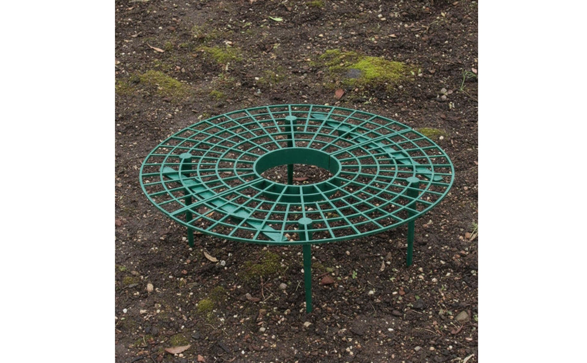 Prevents Decay Strawberry Growing Rack Promotes Air Circulation Strawberry Support Frame Easy to Install Fruit Plant Holder Reusable for Garden