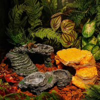 Tortoise House and Turtle Rock Hide, Resin Basking Perch for Reptile Stone Tortoise Rock Plate for Reptiles and Snakes