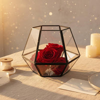 Geometric Glass Terrarium Decorative Centerpiece Geometric Glass Planter Desktop Drought-Tolerant Plant Terrarium Great Gift