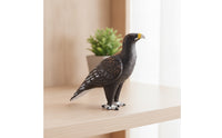 Bird Figurine Hand-Painted Wildlife Figure Realistic for Classroom, Teachers