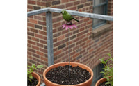 Weather Resistant Bird Flower Pick Rusted Bird Stake Metal Garden Stake