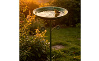 Bird Bath Feeder Bowl Iron Art Vintage Bird Bath Stand Rustic Design for Backyard