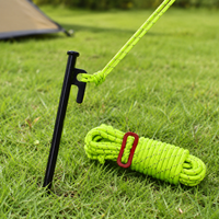 tent stakes and guy lines