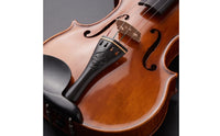 Violin Accessory Kit Complete Violin Tailpiece Tuning Pegs Chin Rest Fitting Set Easy to Install for Instrument Maintenance
