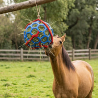 Horse Treat Ball Open-Lattice Feeder Toy with Geometric Cage Boredom Breaker Hay Ball for Horses, Ponies, Stall, Paddock