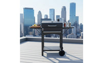 Briquette-Fueled Grill with Side Shelves Outdoor Briquette-Fueled Grill with Thermometer Porcelain-Enameled for Home Cooks, Backyard, Patio, Garden