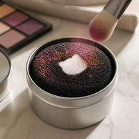 Makeup Brush Cleaner Sponge for Dry Cleaning Eyeshadow Brushes, No-Wash Cosmetic Tool Cleaning Kit