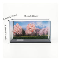 Miniature Display Base with Acrylic 1/64 Model Car Display Case Transparent for Collectors, Shelves, Desks