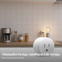 US Intelligent Outlet No Hub Required Matter Intelligent Outlet Timer & Schedules Remote Control Outlet for Homeowners, Families, Bedroom, Kitchen
