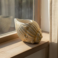 Resin Shell Flower Pot Minimalist Coastal Shell Planter Decorative