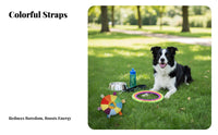 Built-in Squeaker Squeaky Rainbow Disc Long-Lasting Soft Dog Flying Disc Chew-Resistant for Dogs, Young Dogs, Chewing, Indoor Play, Backyard