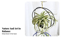 Tillandsia Display Rack Space-Saving Air Plant Holder Hanging Air Plant Display Soilless Coil Tillandsia Stand Sturdy