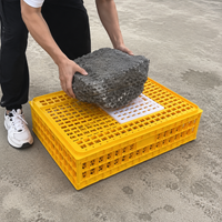 Pigeon Transport Crate 75x55x19cm Polymer Poultry Transport Cage, Heavy Duty Chicken Transport Box for Smallholder, Agricultural Show