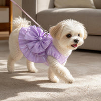Pet Wedding Dress with Leash Ring for Small Dogs and Cats, Teddy, Bichon, French Bulldog, Spring/Summer